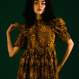Quentin in Leopard