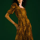 Gatsby in Leopard